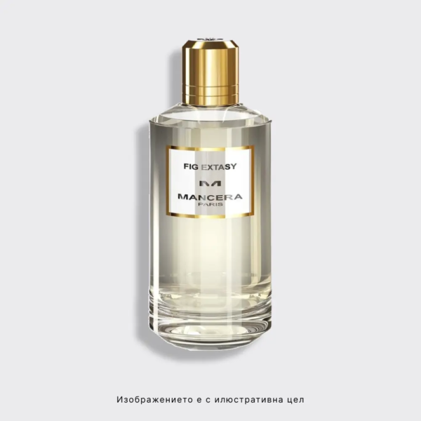 Fig Extasy Mancera