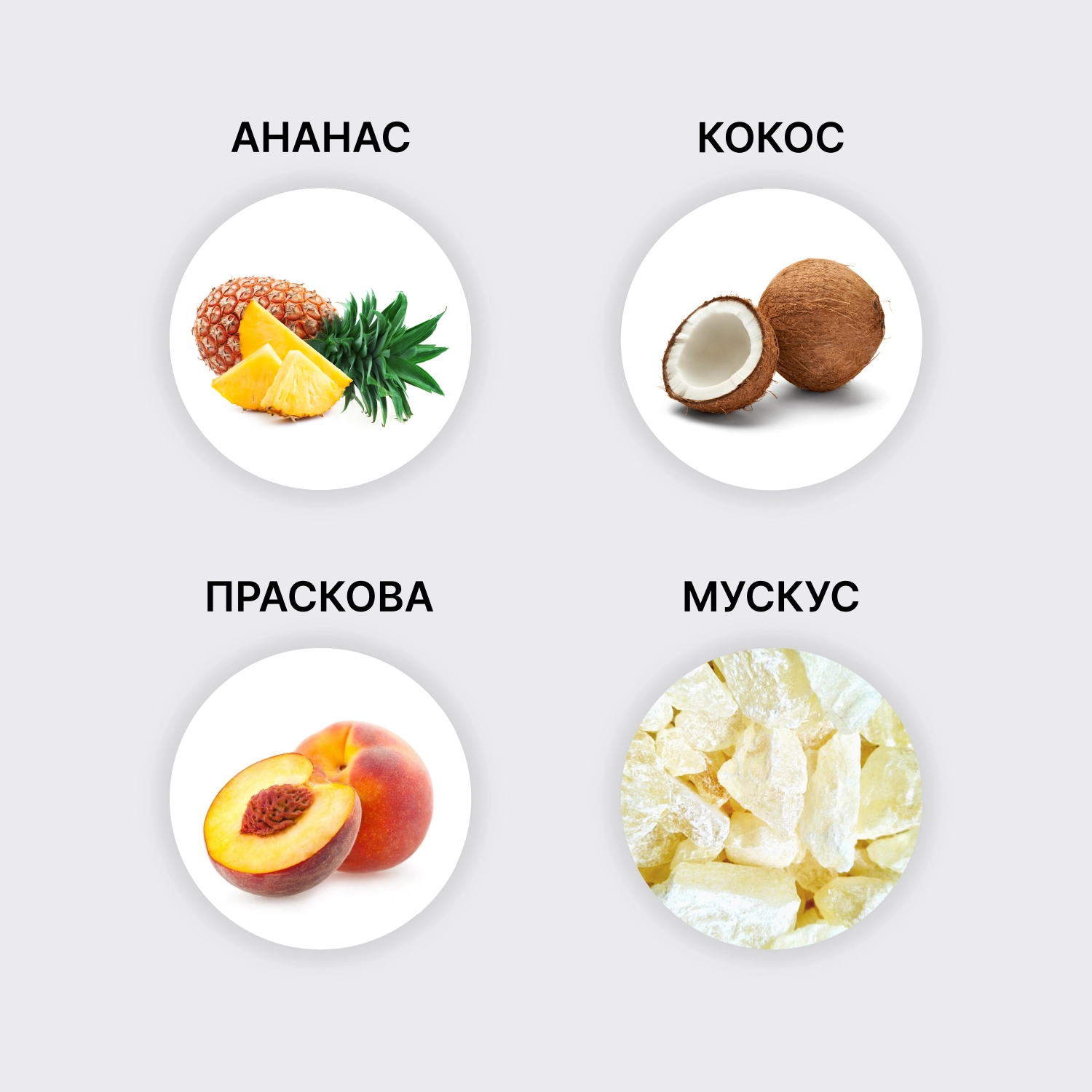 Perfume notes pyramid Coconut Nanas, Rirana